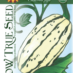 Winter Squash Seeds - Delicata Bush, ORGANIC - Sow True Seed