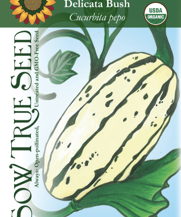 Winter Squash Seeds - Delicata Bush, ORGANIC - Sow True Seed