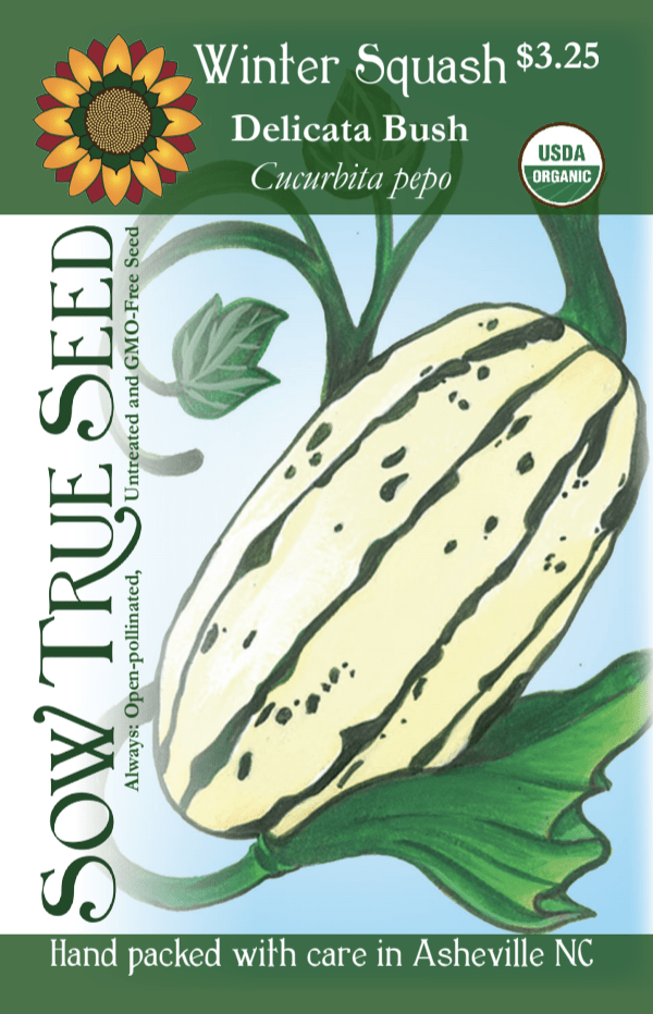 Winter Squash Seeds - Delicata Bush, ORGANIC - Sow True Seed