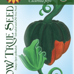 Winter Squash Seeds - Table Queen Bush Acorn, ORGANIC - Sow True Seed