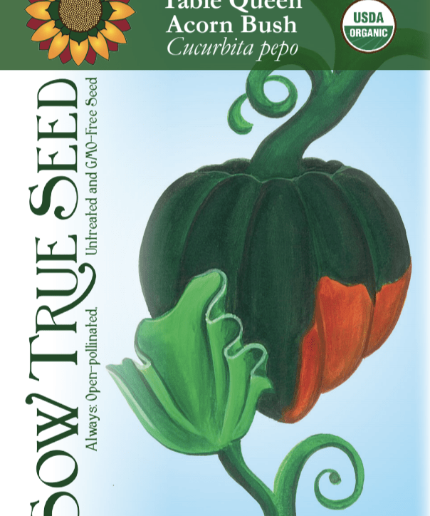 Winter Squash Seeds - Table Queen Bush Acorn, ORGANIC - Sow True Seed