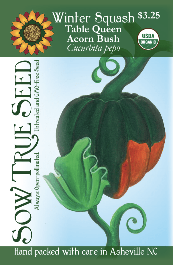 Winter Squash Seeds - Table Queen Bush Acorn, ORGANIC - Sow True Seed