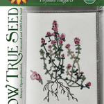 Thyme Seeds - English, ORGANIC - Sow True Seed