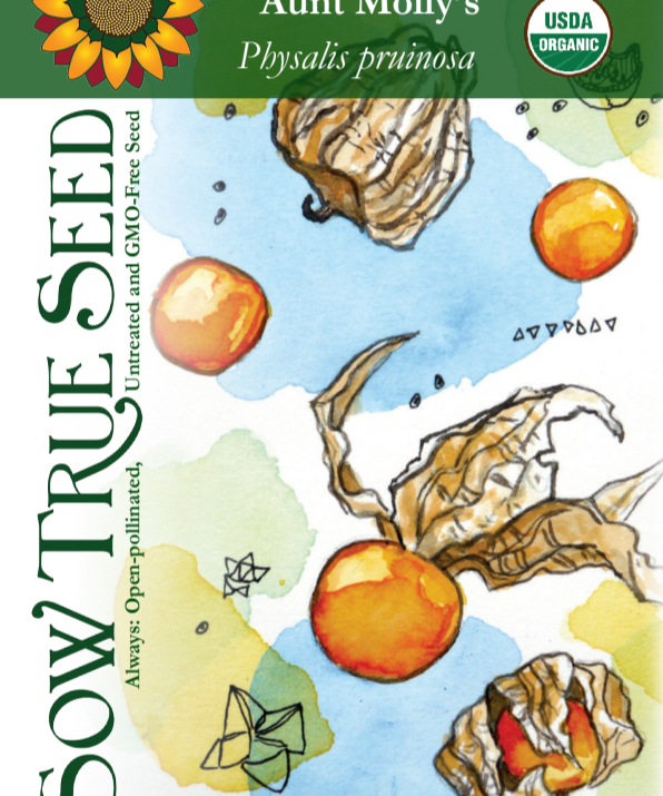 Husk Cherry Seeds - Aunt Molly's, ORGANIC - Sow True Seed