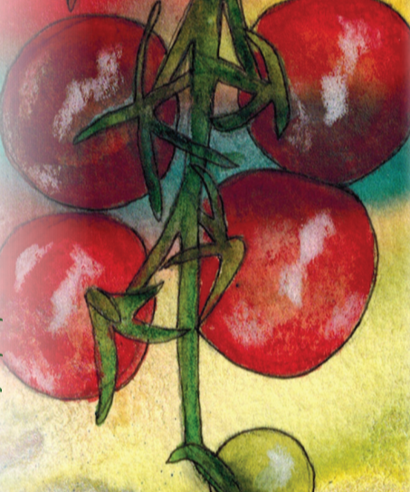 Cherry Tomato Seeds - Chadwick Cherry, ORGANIC - Sow True Seed