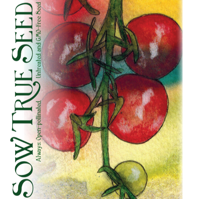Cherry Tomato Seeds - Chadwick Cherry, ORGANIC - Sow True Seed