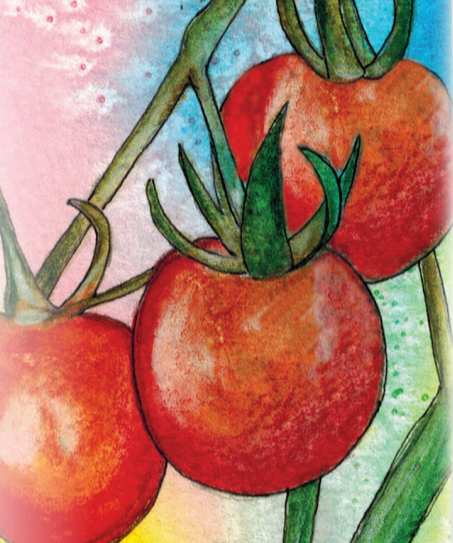 Cherry Tomato Seeds - Tiny Tim, ORGANIC - Sow True Seed