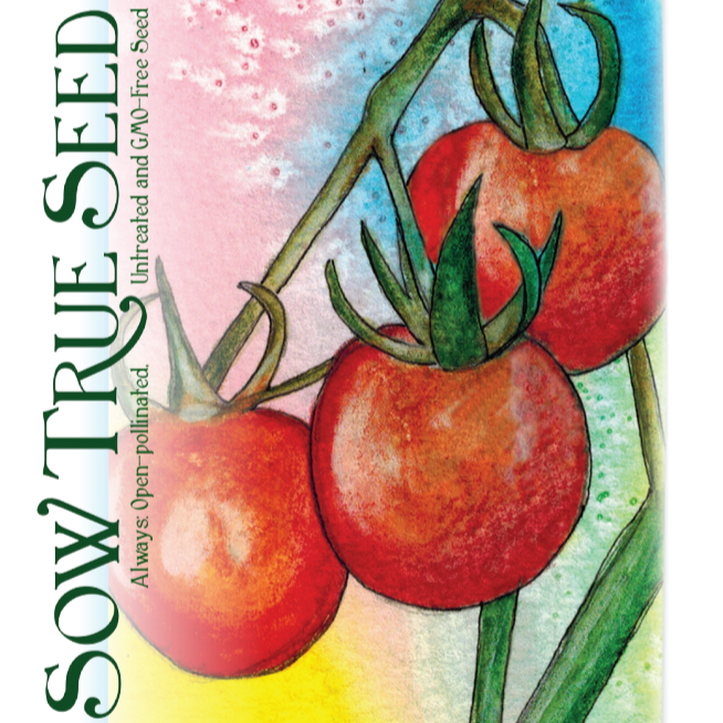 Cherry Tomato Seeds - Tiny Tim, ORGANIC - Sow True Seed
