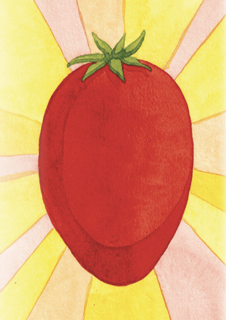 Paste Tomato Seeds - Amish Paste, ORGANIC - Sow True Seed