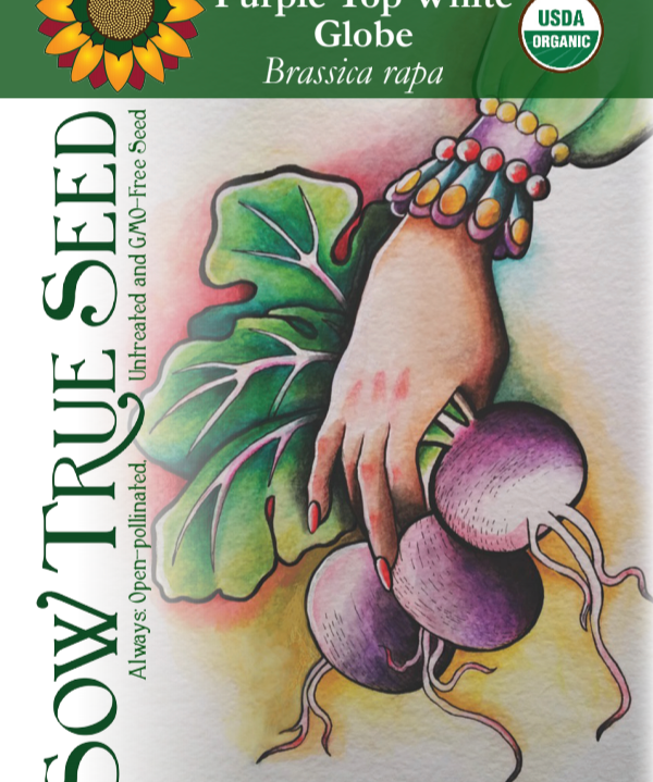 Turnip Seeds - Purple Top White Globe, ORGANIC - Sow True Seed
