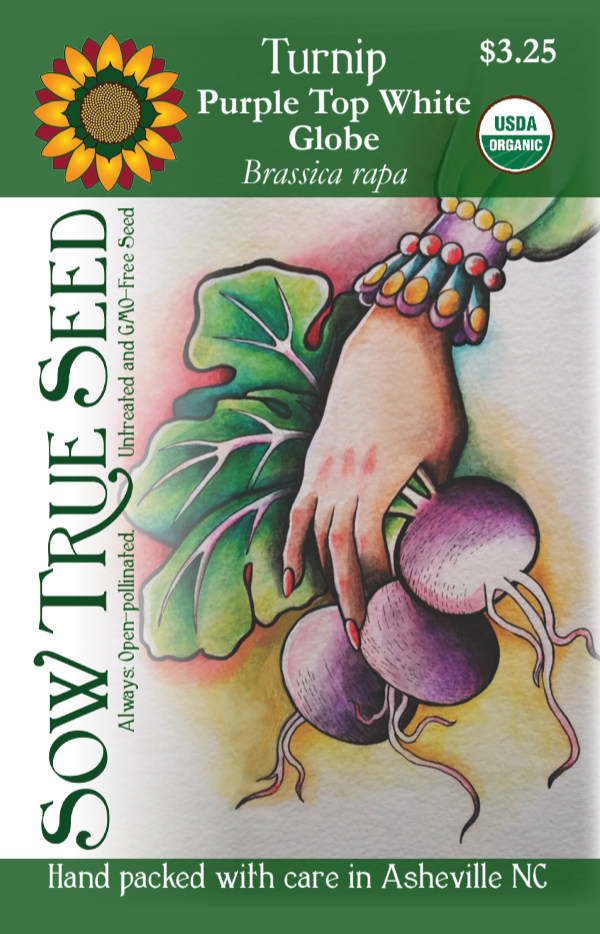 Turnip Seeds - Purple Top White Globe, ORGANIC - Sow True Seed