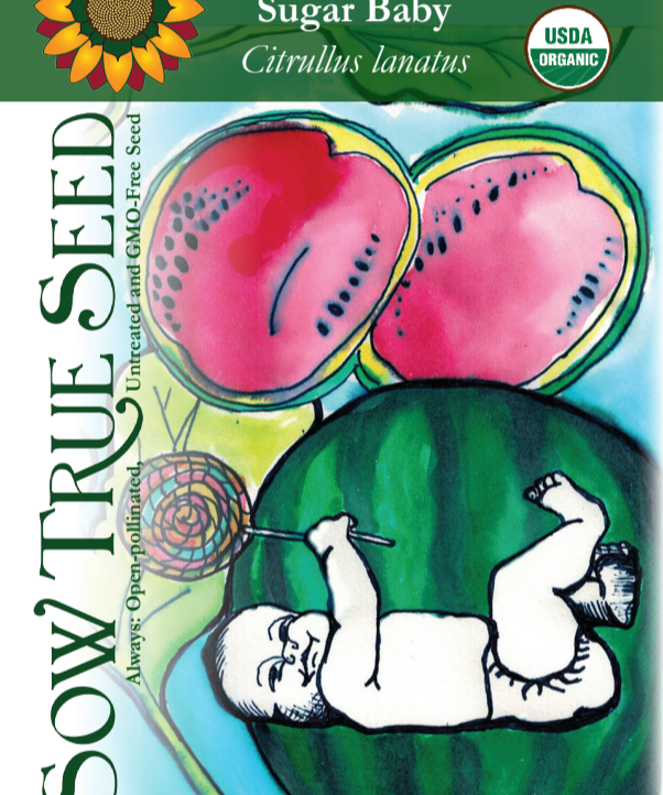 Watermelon Seeds - Sugar Baby, ORGANIC - Sow True Seed