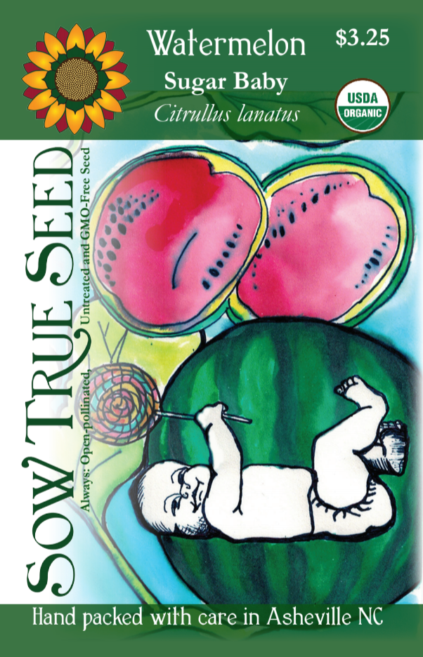 Watermelon Seeds - Sugar Baby, ORGANIC - Sow True Seed