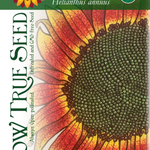 Sunflower Seeds - Autumn Beauty, ORGANIC - Sow True Seed