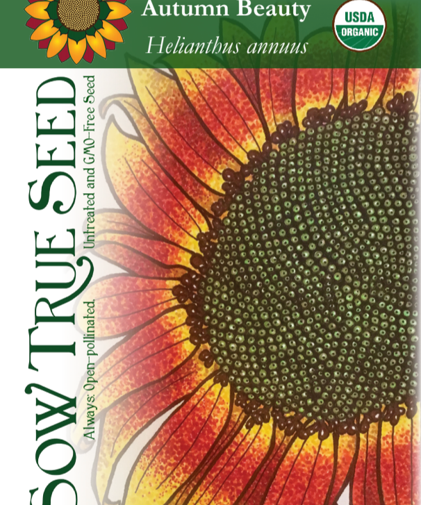 Sunflower Seeds - Autumn Beauty, ORGANIC - Sow True Seed