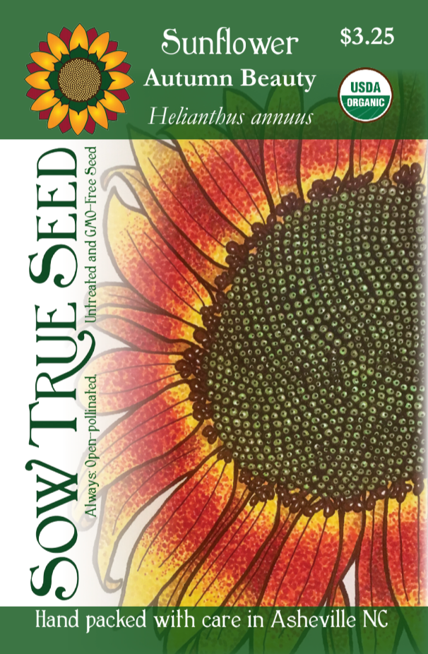 Sunflower Seeds - Autumn Beauty, ORGANIC - Sow True Seed