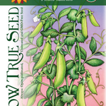 Snap Pea Seeds - Sugar Daddy, ORGANIC - Sow True Seed