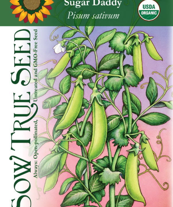 Snap Pea Seeds - Sugar Daddy, ORGANIC - Sow True Seed
