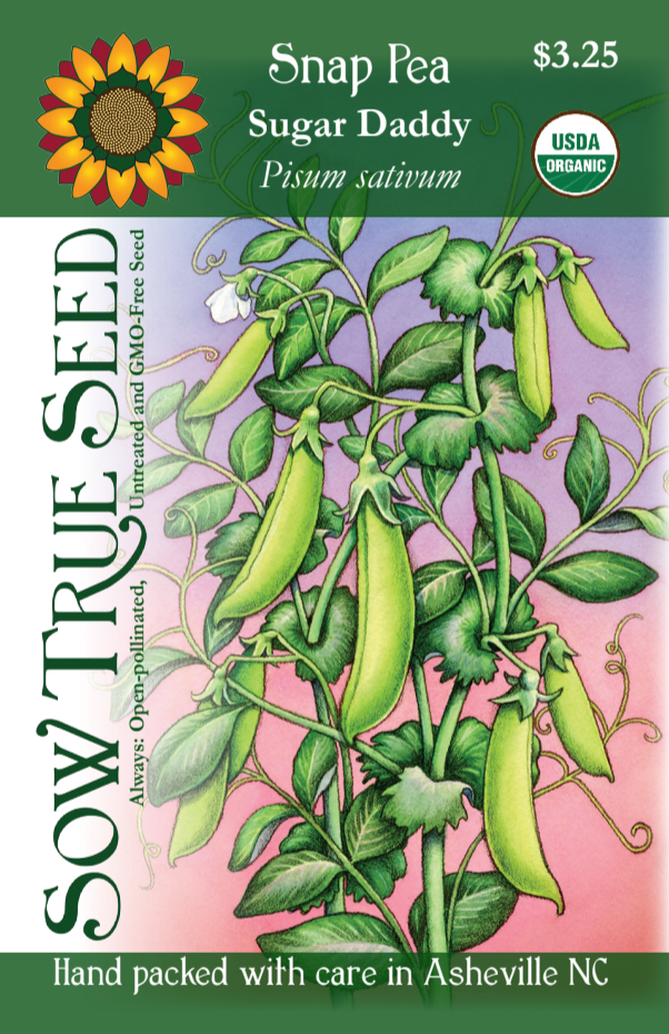 Snap Pea Seeds - Sugar Daddy, ORGANIC - Sow True Seed