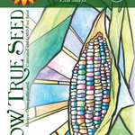 Flint Corn Seeds - Carl's Glass Gem, ORGANIC - Sow True Seed