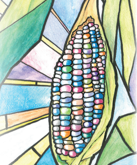 Flint Corn Seeds - Carl's Glass Gem, ORGANIC - Sow True Seed