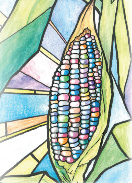 Flint Corn Seeds - Carl's Glass Gem, ORGANIC - Sow True Seed