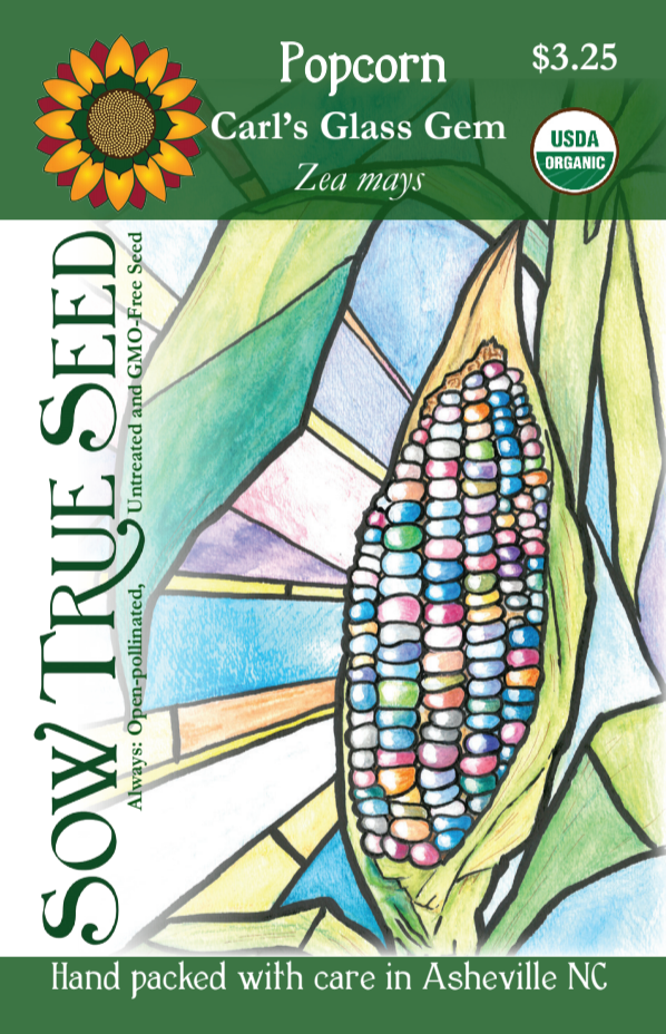 Flint Corn Seeds - Carl's Glass Gem, ORGANIC - Sow True Seed