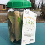 Sprouter Starter Kit, ORGANIC - Sow True Seed