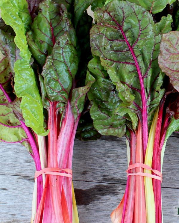 Swiss Chard Seeds - Rainbow Blend - Sow True Seed