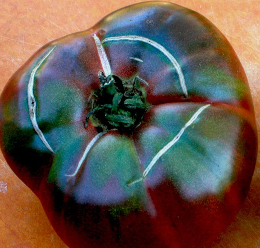 Slicing Tomato Seeds - Black From Tula - Sow True Seed