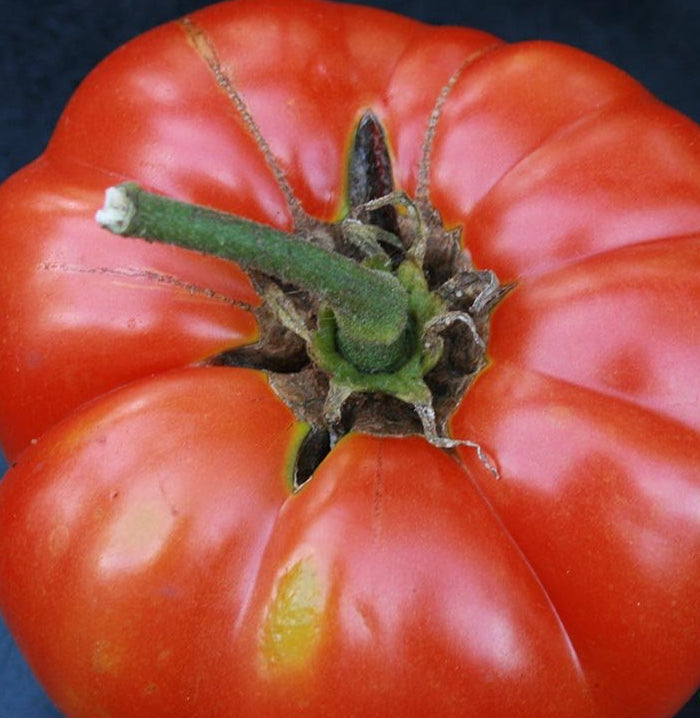 Slicing Tomato - Pink Brandywine, ORGANIC - Sow True Seed