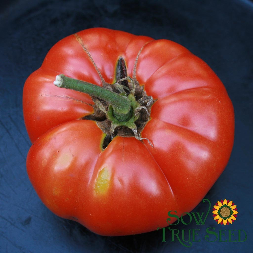 Slicing Tomato - Pink Brandywine, ORGANIC - Sow True Seed