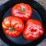 Slicing Tomato - Pink Brandywine, ORGANIC - Sow True Seed