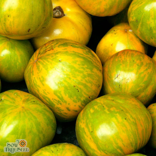 Slicing Tomato Seeds - Green Zebra, ORGANIC - Sow True Seed