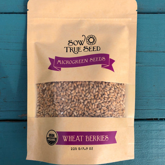 Sprouting Seeds - Wheat Berries - Sow True Seed
