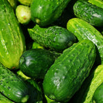 Pickling Cucumber - Boston - Sow True Seed