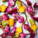 Beet Seeds - Rainbow Blend - Sow True Seed