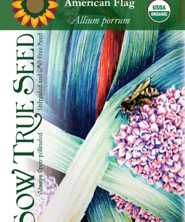 Leek Seeds - American Flag, ORGANIC - Sow True Seed