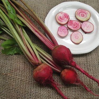 Beet Seeds - Chioggia, ORGANIC - Sow True Seed
