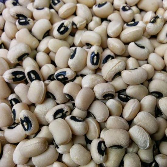 Southern Pea Seeds- California Blackeye - Sow True Seed