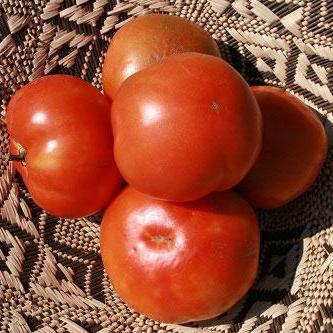 Slicing Tomato - Homestead - Sow True Seed